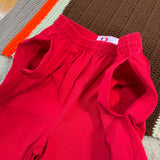 Vintage Detroit Redwings Cotton Shorts Large (1990s)