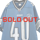 Y2K Detroit Lions “Kid Rock” Jersey Large (2000s)