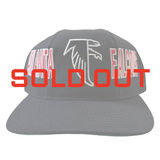 Vintage Atlanta Falcons Starter Snapback Hat (1990s)