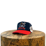 Vintage Detroit Tigers “Bugs Bunny” Snapback Hat (1990s)