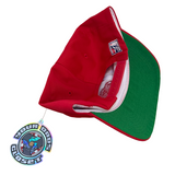 Vintage Detroit Red Wings The Game Snapback Hat (1990s)