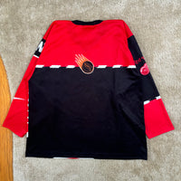 Vintage Detroit Redwings Nike NHL Street Hockey Jersey XXL (1990s)
