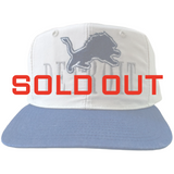 Vintage Detroit Lions Snapback Hat (1990s)