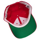 Vintage Detroit Red Wings The Game Snapback Hat (1990s)