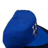 Vintage Detroit Lions Reebok Snapback Hat (1990s)