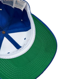 Vintage Detroit Lions Sports Specialties Snapback Hat (1990s)