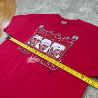 Vintage Detroit Redwings “Big 3” Stanley Cup T-Shirt XXL (2002)