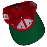 Vintage Detroit Red Wings Logo Athletic SnapBack Hat (1990s)
