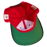 Vintage Detroit Red Wings Corduroy Snapback Hat (1990s)