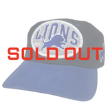Vintage Detroit Lions “Patch” Snapback Hat (1990s)