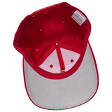 Vintage Detroit Red Wings “Stanley Cup” Snapback Hat (1997)