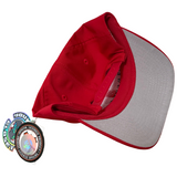 Vintage Detroit Red Wings “Stanley Cup” Snapback Hat (1997)