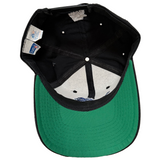Vintage Detroit Lions Starter Snapback Hat (1990s)