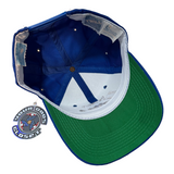 Vintage Detroit Lions Sports Specialties Snapback Hat (1990s)