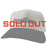 Vintage Harley Davidson Strapback Hat (1990s)