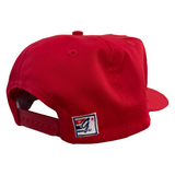 Vintage Detroit Red Wings The Game Snapback Hat (1990s)