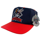 Vintage Detroit Tigers “Bugs Bunny” Snapback Hat (1990s)