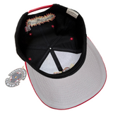 Vintage Beavis and Butthead MTV Promo Snapback Hat (1993)
