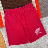 Vintage Detroit Redwings Starter Shorts Large (1990s)