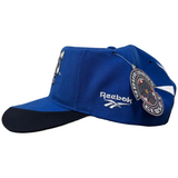 Vintage Detroit Lions Reebok Snapback Hat (1990s)