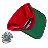 Vintage Detroit Red Wings Corduroy Snapback Hat (1990s)