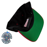 Vintage Detroit Red Wings “Plain Logo” Snapback Hat (1990s)