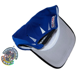 Vintage Detroit Lions Reebok Snapback Hat (1990s)