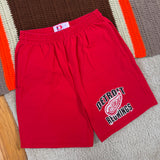Vintage Detroit Redwings Cotton Shorts Large (1990s)