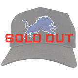 Vintage Detroit Lions Starter Snapback Hat (1990s)