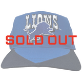 Vintage Detroit Lions Reebok Snapback Hat (1990s)